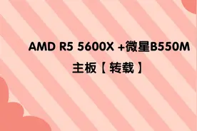 AMD R5 5600X +微星B550M主板【转载】视频封面
