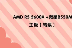 AMD R5 5600X +微星B550M主板【转载】视频封面