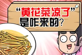 为啥是黄花菜凉了 而不是其他菜视频封面