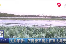 大风来袭！济南唐王镇上百亩大棚受损，一夜之间成“平地”视频封面