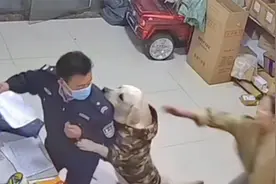 狗狗也爱警察叔叔!警察上门店内狗狗热情扑抱，店主:想找编制工作视频封面