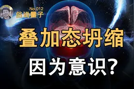 【俗说量子】人的意识导致波函数坍缩？（第12期）视频封面
