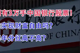 拥有3万手中国银行股票！能实现财富自由吗？每年分红高不高？视频封面