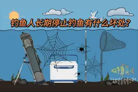 钓鱼人长期不钓鱼的10个坏处视频封面