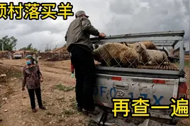 内蒙羊贩子来山顶村庄买羊，养殖户已经半年没卖过羊，看能买成吗视频封面
