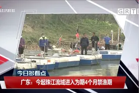 广东：今起珠江流域进入为期4个月禁渔期视频封面