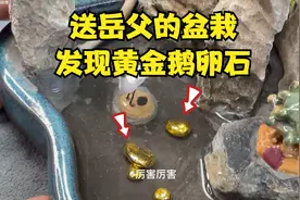 岳父六十大寿，老公送个黄金盆栽，火烧验真假视频封面
