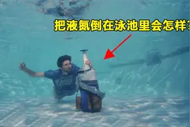 把“液氮”倒在泳池里会怎样？男子亲自实验，场面真是太壮观了！视频封面