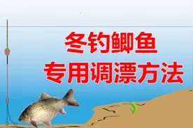 冬钓鲫鱼不会调漂？简单四步专治轻口鱼，竿竿都是大顿口视频封面