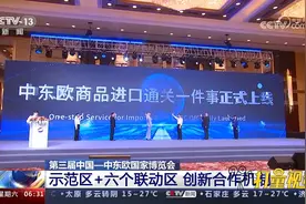 中国—中东欧国家博览会：示范区+六个联动区，创新合作机制视频封面