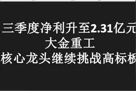 大金重工：核心龙头继续挑战高标的，这会是下一个联创股份？视频封面