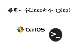 每周一个linux命令（ping）视频封面