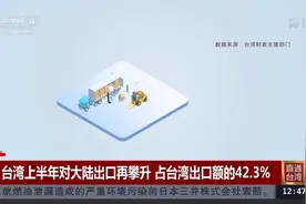 台湾上半年对大陆出口再攀升，占台湾出口额的42.3%|第一时间视频封面