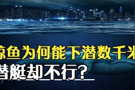 鲸鱼明明只是肉身，为何能下潜数千米？钢铁造的潜艇却无法做到？视频封面