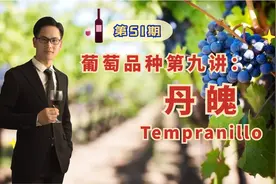 西班牙国宝级品种丹魄，酿造的红酒是什么风格，产区怎么选视频封面