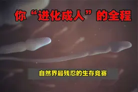 你“进化成人”全过程，2亿精子只有一个能变成人，画面让人落泪视频封面