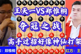 王天一VS郑惟桐，夺冠之战，高手过招好像神仙打架，精彩刺激视频封面