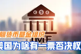 国际货币基金组织里，美国为啥有一票否决权？投票份额又是咋回事视频封面