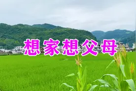 一首想家的歌《想家想父母》，句句催人泪下，听哭了多少儿女！视频封面
