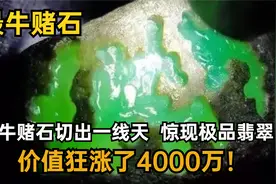 一块濒临灭绝的石头，被男子一刀挽救，切出一线天，狂赚4000万！视频封面