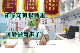 该死的宠物眼线虫如何发现，如何去预防，宠物医生给你讲解明白。视频封面