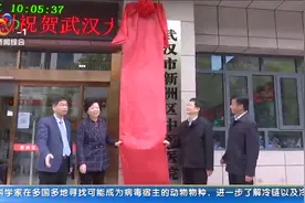 武汉大学中南医院新洲院区揭牌视频封面