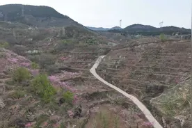 航拍济南锦绣川，桃花梨花竞相绽放，山坡变成美丽的花园视频封面