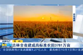 吉林全省建成高标准农田3781万亩，2025年预计建成5000万亩视频封面