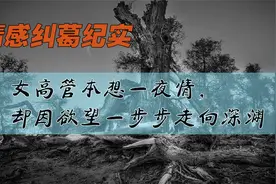 真实情感纪实——女高管本想一夜情，却因欲望一步步走向深渊视频封面