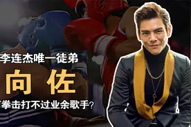 向佐：作为李连杰唯一徒弟，习武10年，为何拳击打不过业余歌手？视频封面