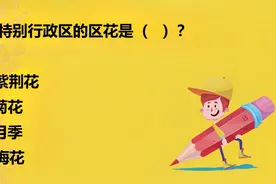 公务员考试常识，香港特别行政区的区花是什么？你知道吗？视频封面