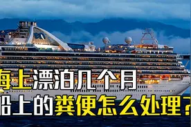 邮轮长期漂泊海上，厕所里的粪便都去哪了？难道直接排放去喂鱼？视频封面