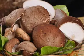 香菇营养价值高，但是这几种人最好不要吃视频封面