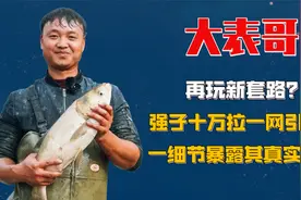 大表哥再玩新套路？强子十万拉一网引热议，一细节暴露其真实嘴脸