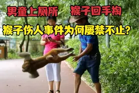 男童野外上厕所，猴子突然回手掏，伤到的部位毁掉男孩一生的幸福视频封面