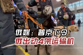 俄媒：普京下令，俄罗斯出动4架运输机前往土叙救援视频封面