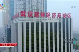 蔡甸区：生态优先示范引领 打造现代化大武汉的重要增长极视频封面