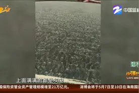 顺丰寄丢奔驰钥匙 应该怎么赔？视频封面