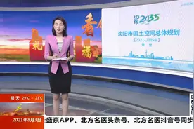 未来15年——沈阳城市空间如何规划？ 等您提出好建议视频封面