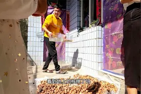 气温终于回升了，把佛鳄拿出去晒晒太阳，争取晒成绿毛龟视频封面