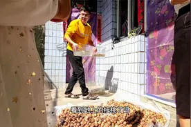 气温终于回升了，把佛鳄拿出去晒晒太阳，争取晒成绿毛龟视频封面