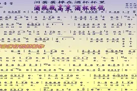 《泪蛋蛋掉在酒杯杯里》F 调伴奏曲视频封面