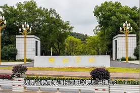 官方通报“邵阳学院1800万引进23名菲律宾博士：校党委书记被免职视频封面