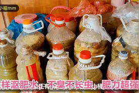 楼顶种菜：菜叶子、厨余垃圾这样沤肥水，不臭不长虫，肥力超强视频封面