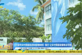 《三亚市乡村民宿促进和管理条例》施行 让乡村民宿发展有法可依视频封面