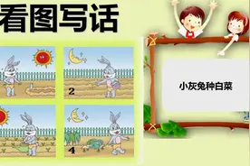 43、二年级看图写话：小灰兔种白菜，教育孩子善于观察图片视频封面