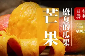 芒果大家都熟悉，但你知道吗在60年代它在我国还掀起一股热潮视频封面