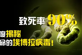 致死率90%！臭名昭著的“埃博拉病毒”，究竟有多恐怖？视频封面
