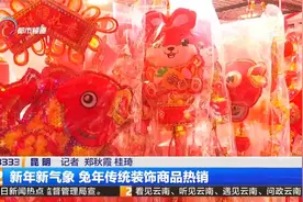 新年新气象  兔年传统装饰商品热销视频封面