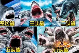 盘点五头变异鲨鱼，你觉得哪只更厉害？鲨鱼的头越多越凶猛